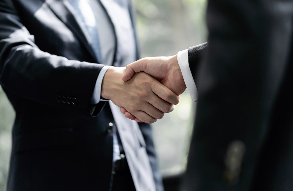 Duis elit vestibulum tempor